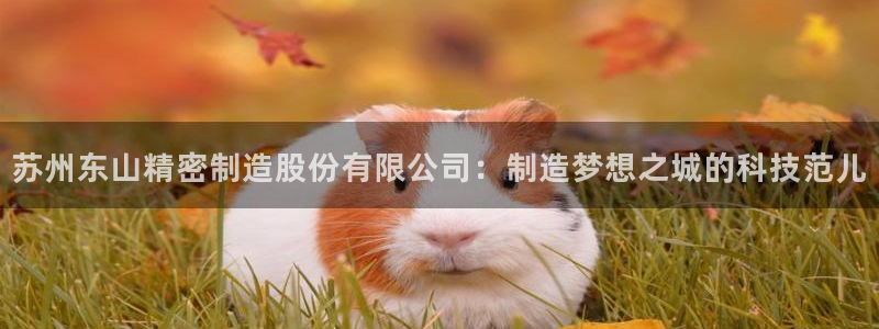 彩神viii下载安卓：苏州东山精密制造股份有限公司：制造梦想之城的科技范儿