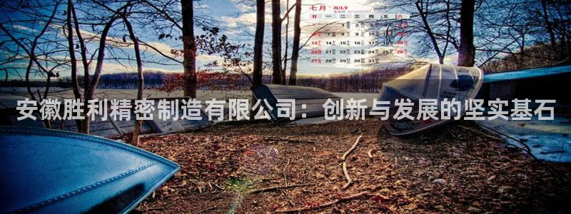 彩神vll购彩大厅大众