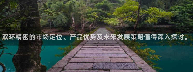 彩神平台是什么套路：双环精密的市场定位、产品优势及未来发展策略值得深入探讨。