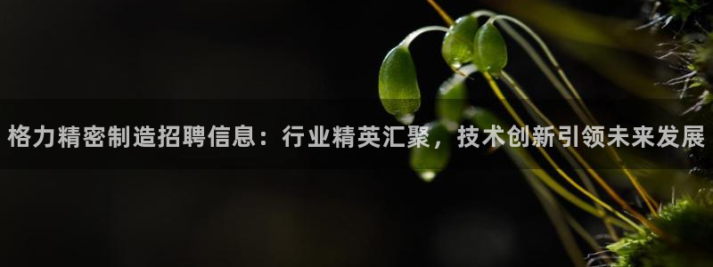 彩神iv争霸购彩大厅：格力精密制造招聘信息：行业精英汇聚，技术创新引领未来发展