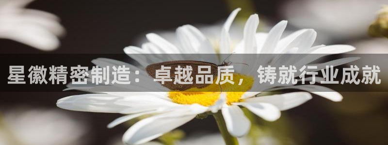 彩神大发cp：星徽精密制造：卓越品质，铸就行业成就
