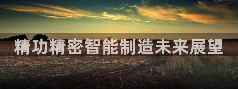 彩神iv争霸购彩大厅：精功精密智能制造未来展望