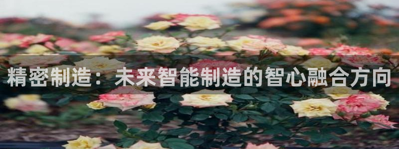 彩神购彩-购彩大厅入口计划群