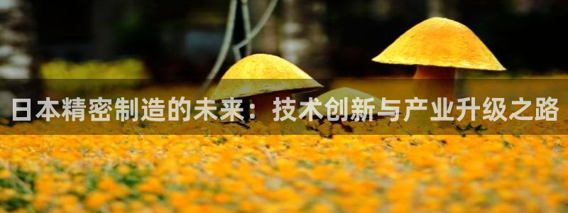 彩神到底能不能赚钱：日本精密制造的未来：技术创新与产业升级之路