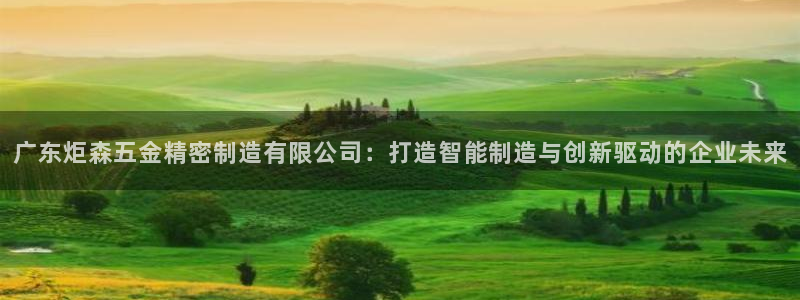 彩神ⅴll是什么样平台：广东炬森五金精密制造有限公司：打造智能制造与创新驱动的企业未来