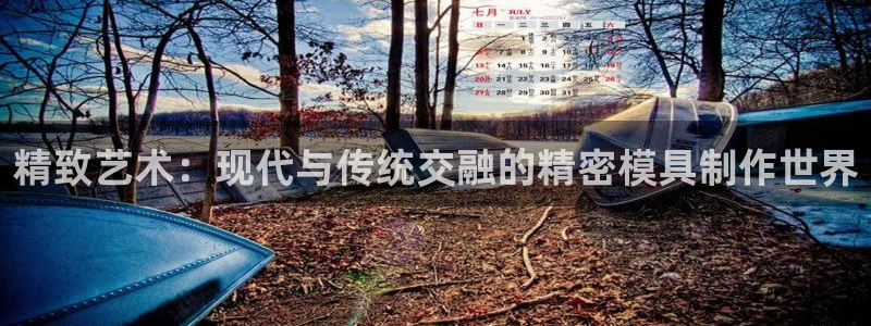 彩神官方网站登录是多少：精致艺术：现代与传统交融的精密模具制作世界