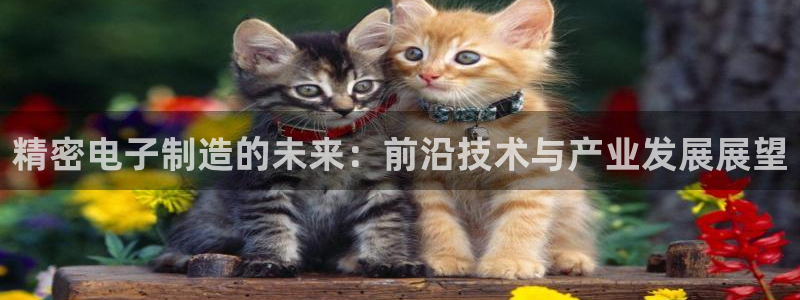 下载彩神v8