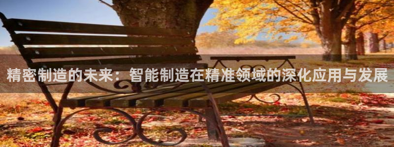 彩神是怎样一个平台赚钱的：精密制造的未来：智能制造在精准领域的深化应用与发展