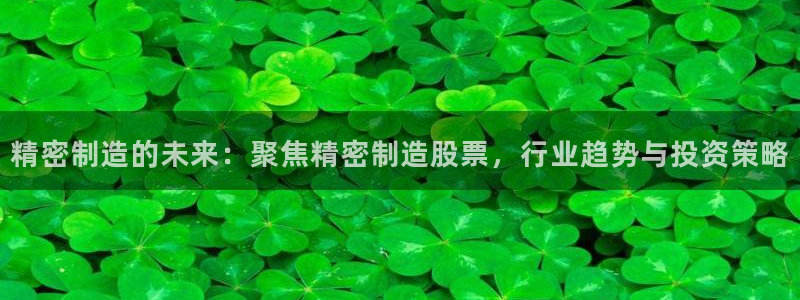 彩神vlll游戏特色：精密制造的未来：聚焦精密制造股票，行业趋势与投资策略