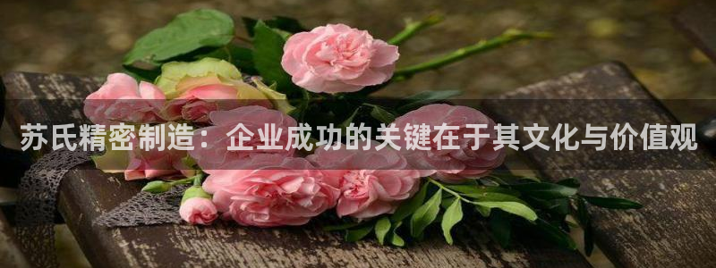 彩神x平台靠什么盈利：苏氏精密制造：企业成功的关键在于其文化与价值观
