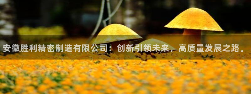彩神v网赌软件下载：安徽胜利精密制造有限公司：创新引领未来，高质量发展之路。