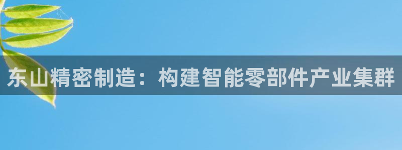 新版彩神v8登录不了：东山精密制造：构建智能零部件产业集群