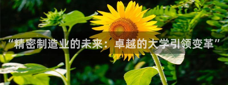 彩神v天天：“精密制造业的未来：卓越的大学引领变革”