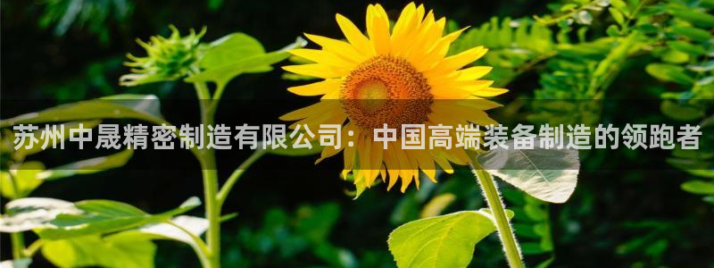 彩神vll购彩大厅：苏州中晟精密制造有限公司：中国高端装备制造的领跑者