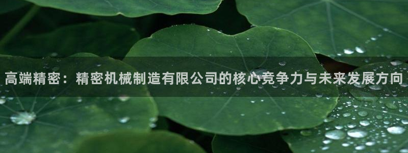 彩神赢钱了吗知乎：高端精密：精密机械制造有限公司的核心竞争力与未来发展方向