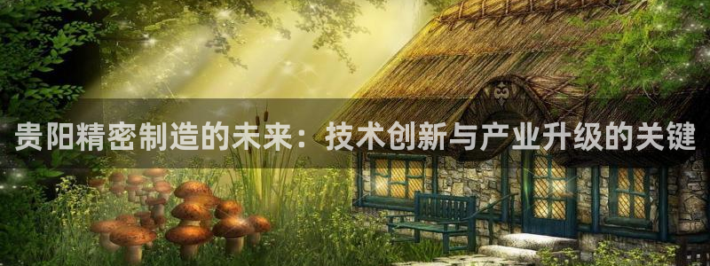 彩神viii下载安卓：贵阳精密制造的未来：技术创新与产业升级的关键