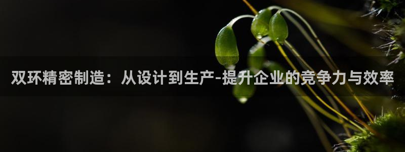 彩神vlll官网网上购彩：双环精密制造：从设计到生产-提升企业的竞争力与效率