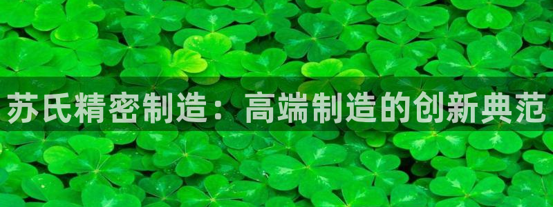 彩神购彩-购彩大厅入口36fr：苏氏精密制造：高端制造的创新典范