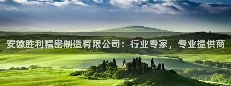 所有彩神购买首页都一样吗：安徽胜利精密制造有限公司：行业专家，专业提供商