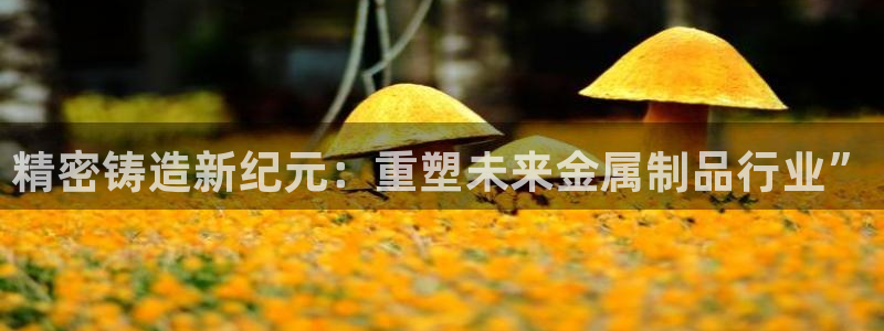 彩神争霸官方下载：精密铸造新纪元：重塑未来金属制品行业”