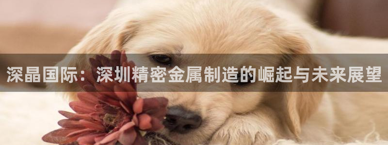 彩神ix官网是哪个公司的：深晶国际：深圳精密金属制造的崛起与未来展望