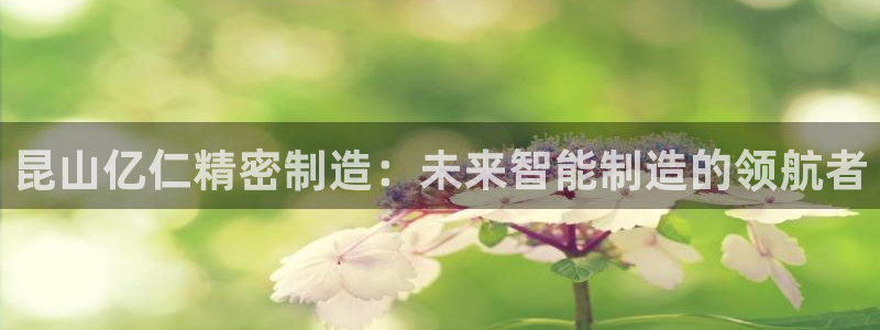 新版彩神v8登录教程：昆山亿仁精密制造：未来智能制造的领航者
