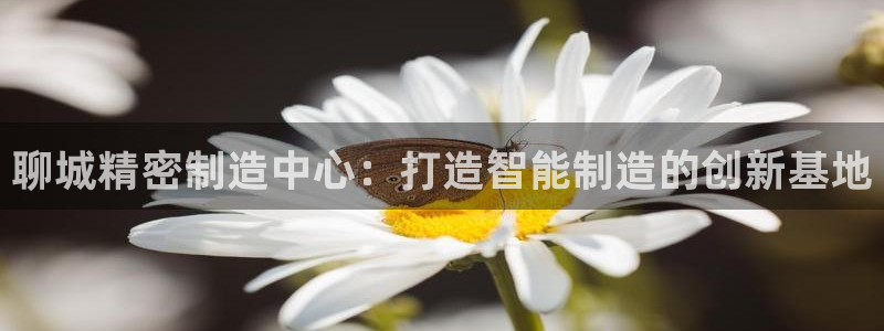 彩神vii购彩l心：聊城精密制造中心：打造智能制造的创新基地