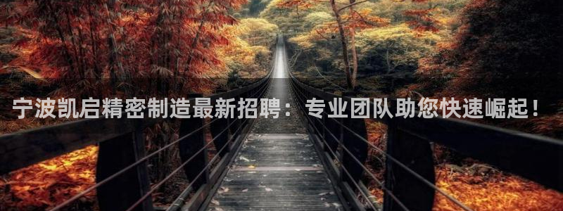 下载彩神通关注金码：宁波凯启精密制造最新招聘：专业团队助您快速崛起！