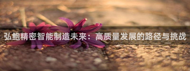 彩神8彩平台官网：弘鲍精密智能制造未来：高质量发展的路径与挑战
