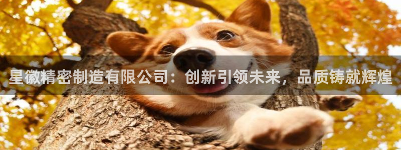 彩神的邀请码是多少：星徽精密制造有限公司：创新引领未来，品质铸就辉煌