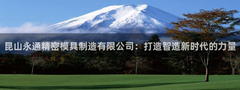 彩神平台是真的吗：昆山永通精密模具制造有限公司：打造智造新时代的力量