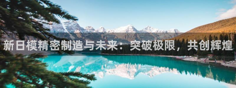 彩神vⅲ下载安装：新日模精密制造与未来：突破极限，共创辉煌