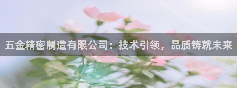 彩神v秘聊号码：五金精密制造有限公司：技术引领，品质铸就未来