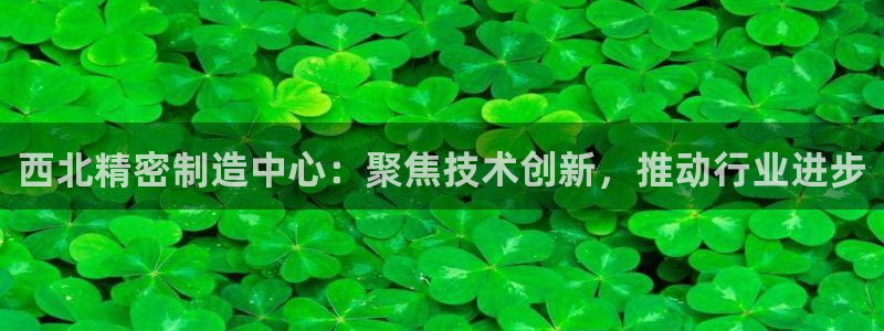 彩神v8几个版本：西北精密制造中心：聚焦技术创新，推动行业进步