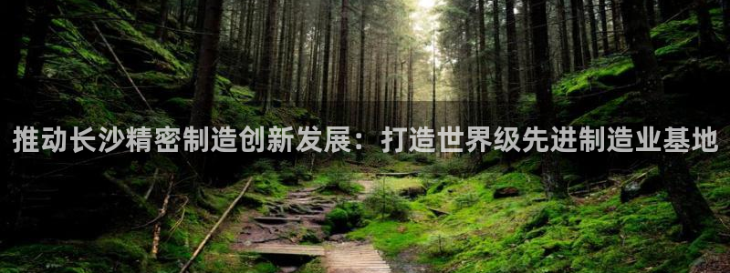 彩神平台能提现吗：推动长沙精密制造创新发展：打造世界级先进制造业基地