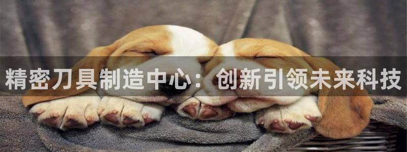 彩神8是正规平台吗是正品吗：精密刀具制造中心：创新引领未来科技
