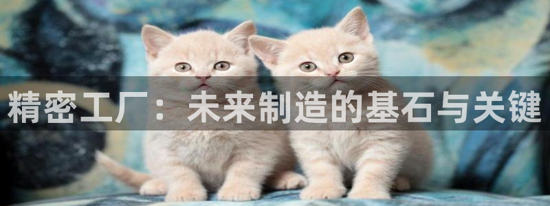 彩神争霸官方登录