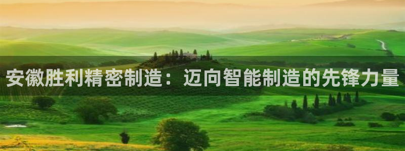 彩神ⅴll是什么样平台：安徽胜利精密制造：迈向智能制造的先锋力量