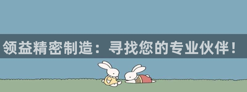 彩神vl官网：领益精密制造：寻找您的专业伙伴！