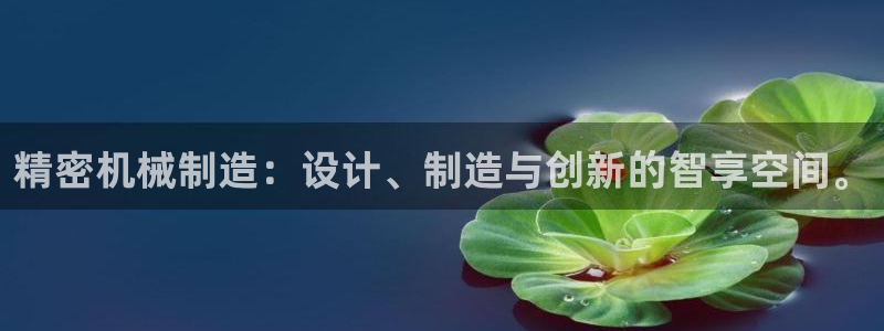 彩神是怎样一个平台赚钱的：精密机械制造：设计、制造与创新的智享空间。