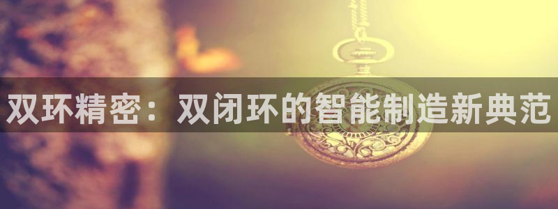 彩神大发黑平台：双环精密：双闭环的智能制造新典范