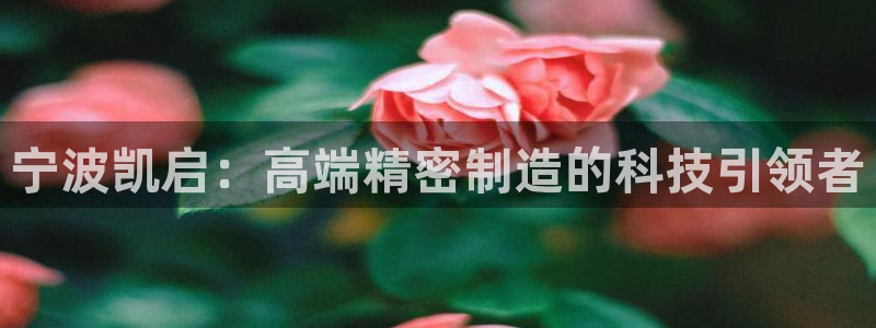 彩神 好 平台：宁波凯启：高端精密制造的科技引领者