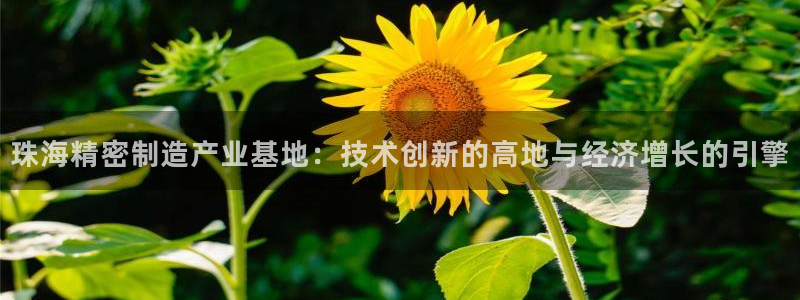 新版彩神v8登录