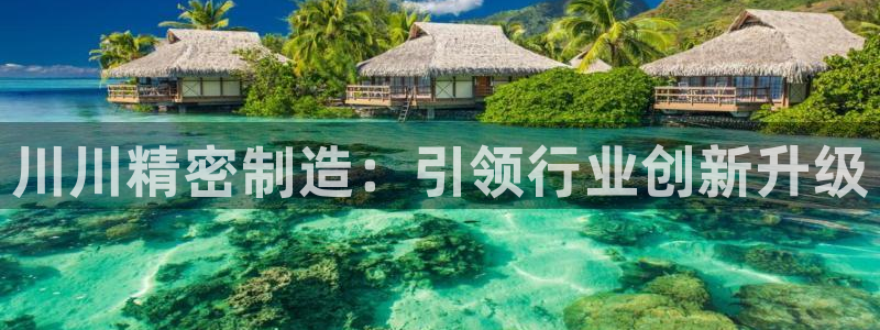 彩神购彩-购彩大厅入口下载：川川精密制造：引领行业创新升级