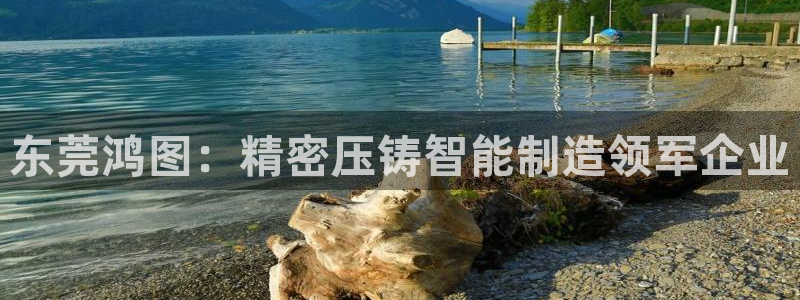 彩神vll购彩大厅大众：东莞鸿图：精密压铸智能制造领军企业