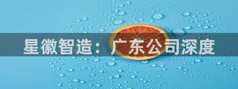 彩神velcome购彩大厅