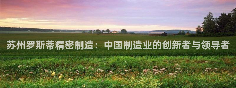 彩神vll首页企业文化：苏州罗斯蒂精密制造：中国制造业的创新者与领导者