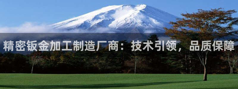 彩神v8客户端：精密钣金加工制造厂商：技术引领，品质保障