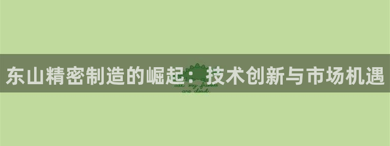 彩神8官网500：东山精密制造的崛起：技术创新与市场机遇