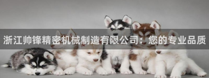 下载彩神乐发V